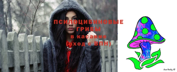 крисы Инта