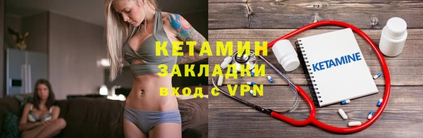 крисы Инта