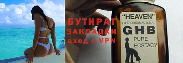 индика Каменногорск
