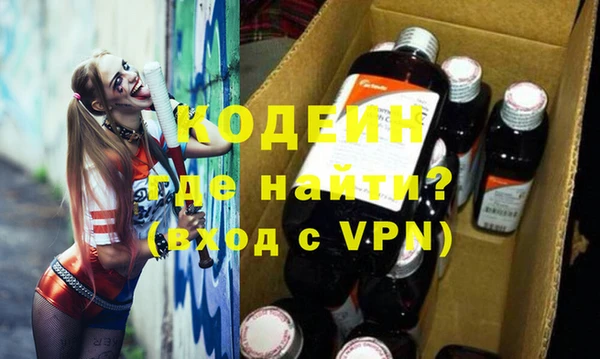 крисы Инта