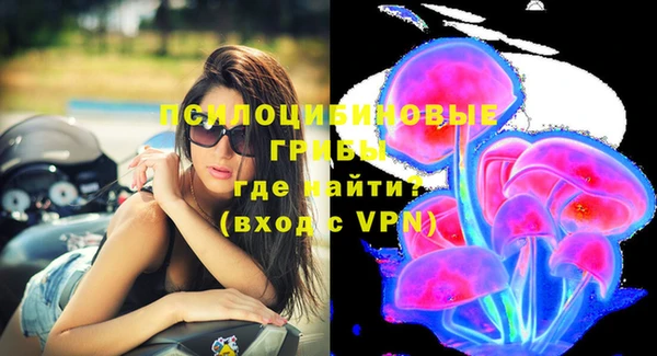 индика Каменногорск