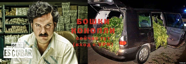 крисы Инта