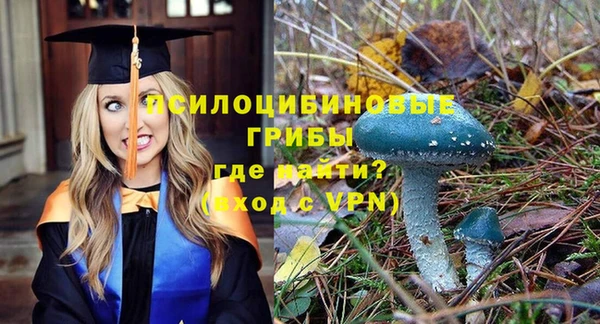 спиды Зеленодольск