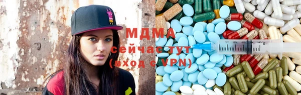 индика Каменногорск