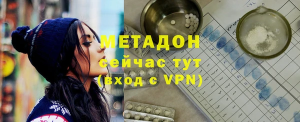 индика Каменногорск