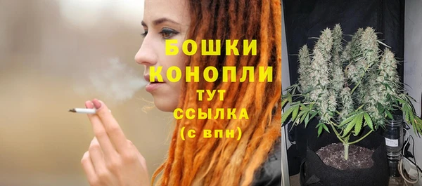 крисы Инта