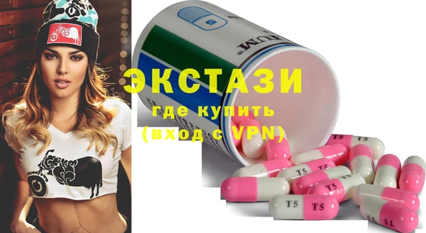 крисы Инта