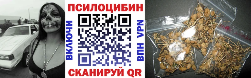 купить   Весьегонск  Галлюциногенные грибы мухоморы 